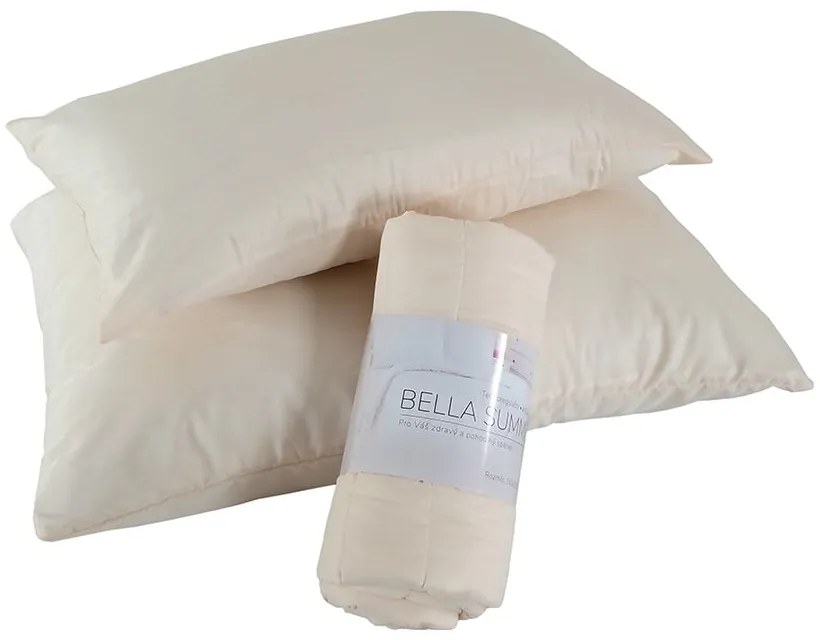 Калъфка за възглавница от микрофибър 45x75 cm Summer – B.E.S.