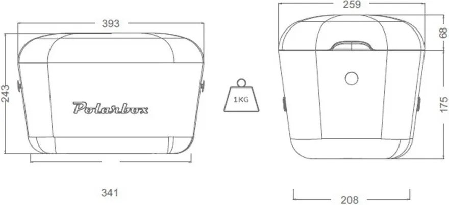 Кафява хладилна чанта 12 l Classic Gold – Polarbox