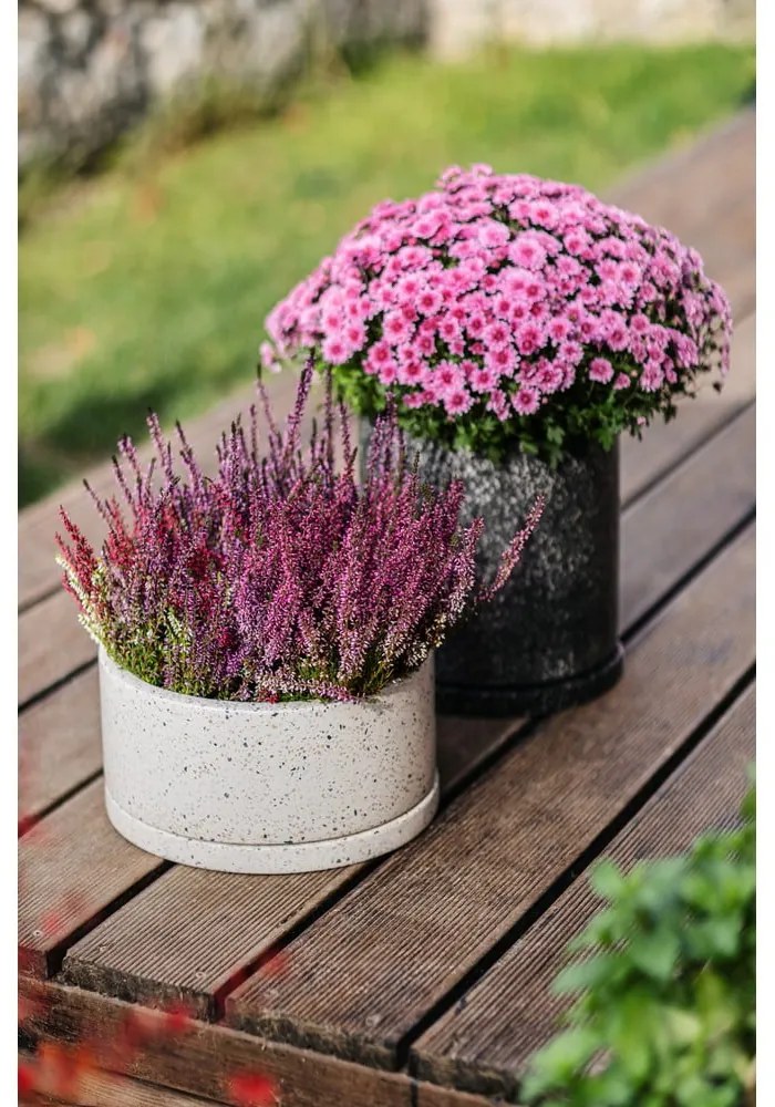 Комплект от 2 тъмносиви саксии, ø 26 cm Terrazzo - Bonami Selection