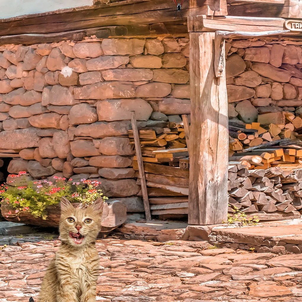 Фототапет - Възрожденски дом