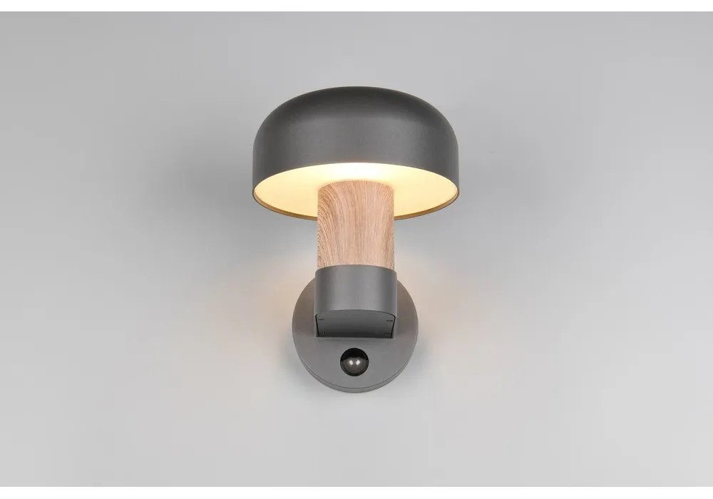 Стенно външно осветително тяло (височина 24,5 cm) Fraser – Trio