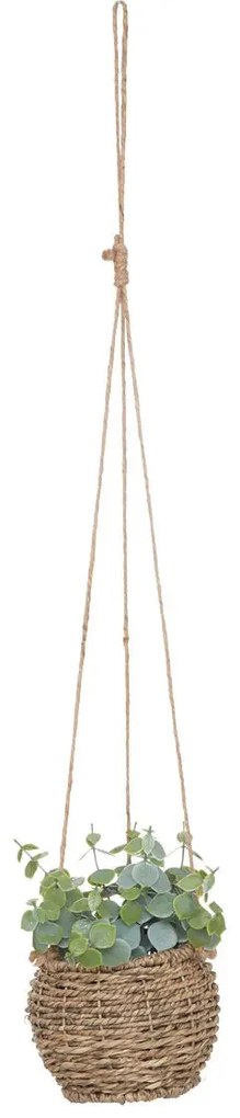 Изкуствено растение atmosphera Zoе, 17 cm, Различни видове