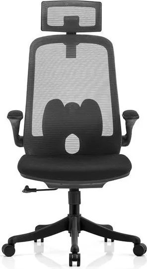 Изпълнителен стол CG3950-Gkri