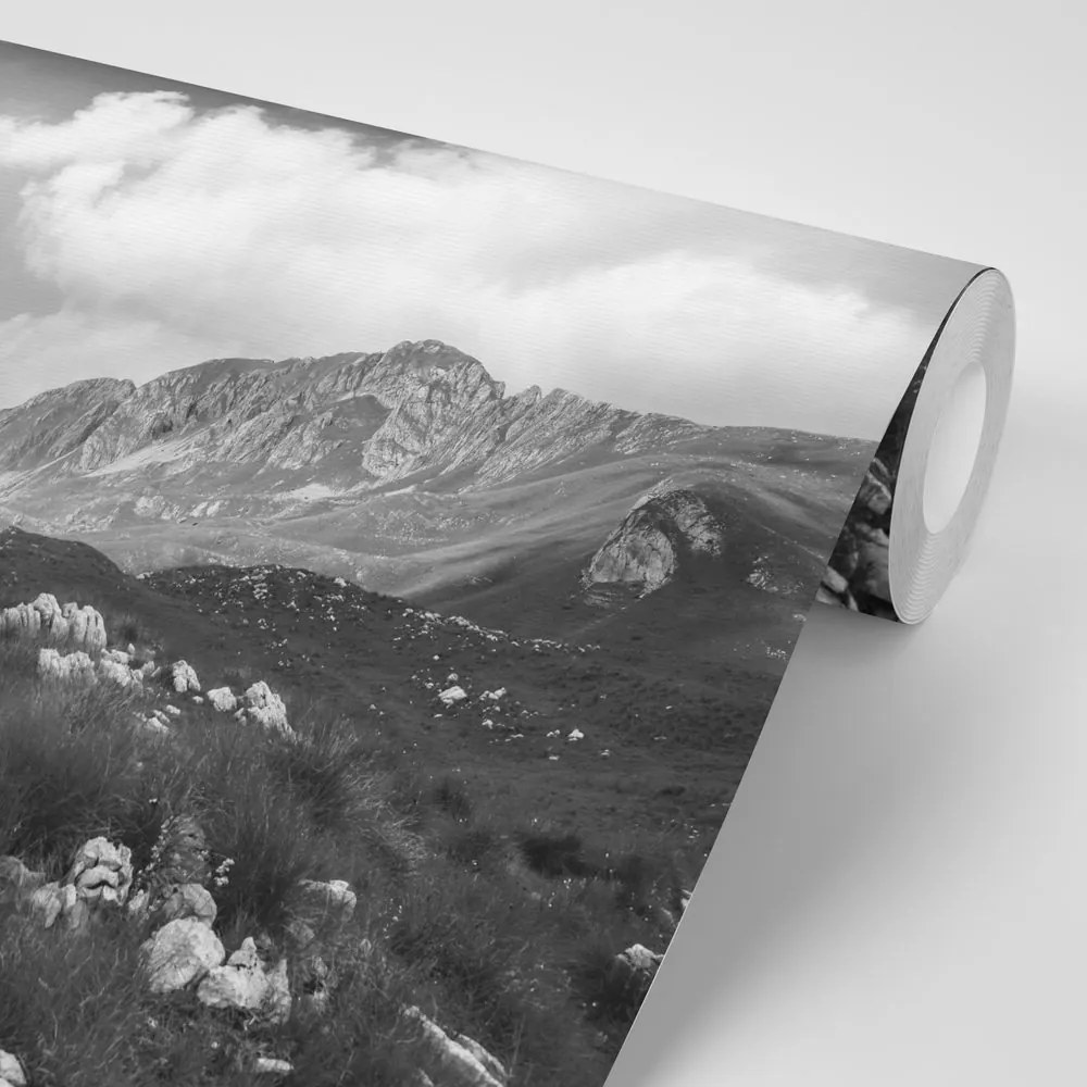 Фототапет – Черно-бяла долина в Черна гора