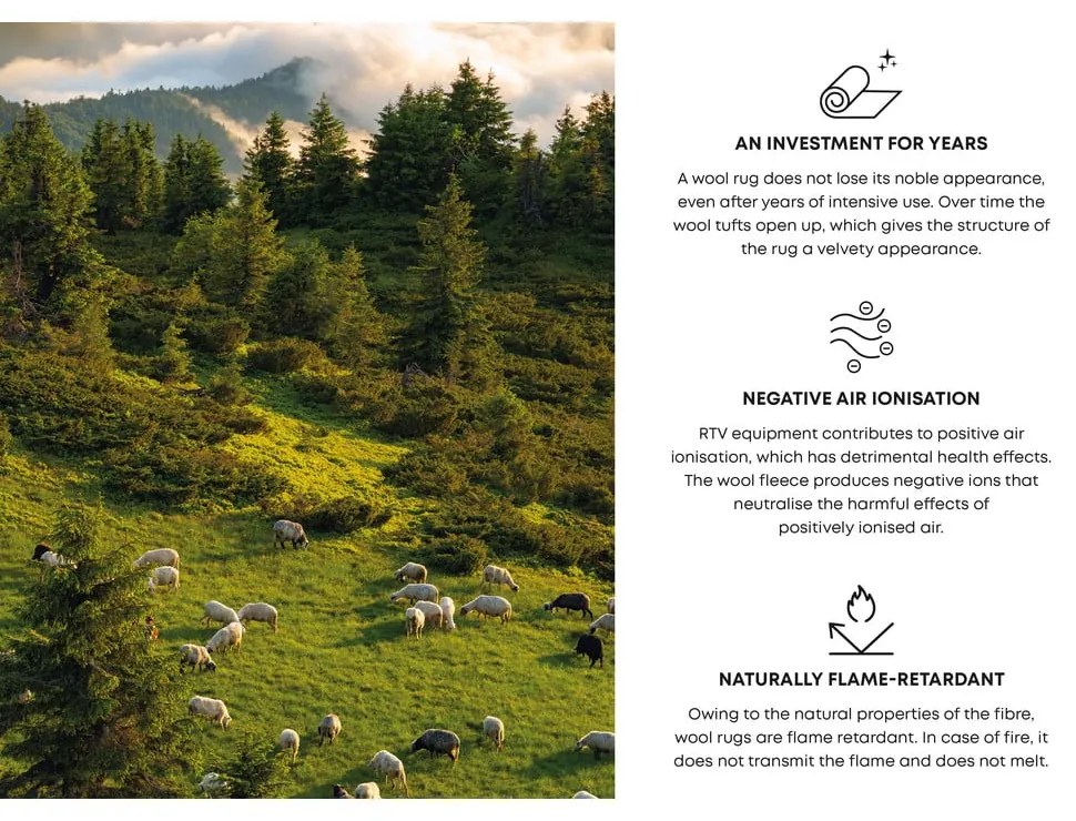 Сив вълнен килим 160x240 cm Claudine - Agnella