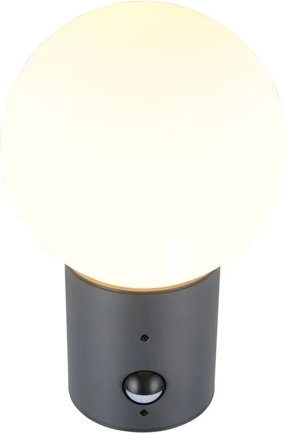 Стенно външно осветително тяло със сензор за движение ø 18 cm Mures – Trio