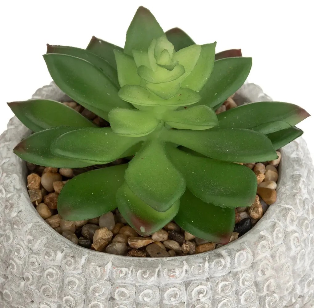 Изкуствено растение atmosphera Buddha, 13.5 cm, Различни видове