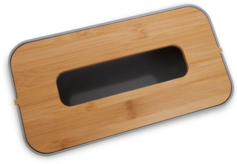 Пластмасова кутия за носни кърпички Canyon - Premier Housewares