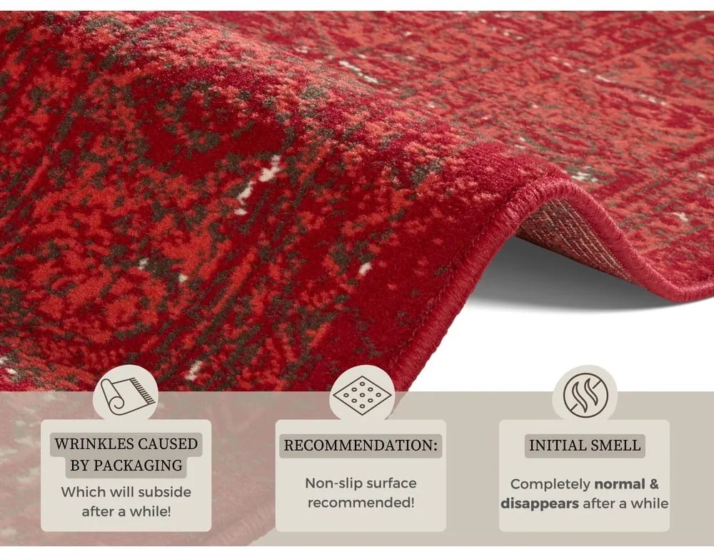 Червен килим Celebration , 80 x 150 cm Plume - Hanse Home