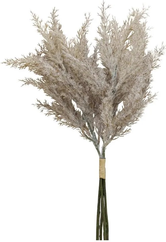 Декоративни цветя Персийска-Бежово-кафяво (12 τεμάχια)