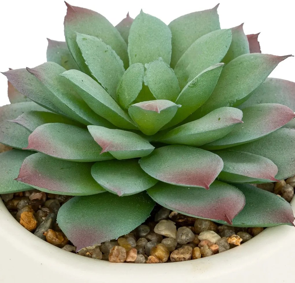 Изкуствено растение atmosphera Nils, 12 cm, Различни видове
