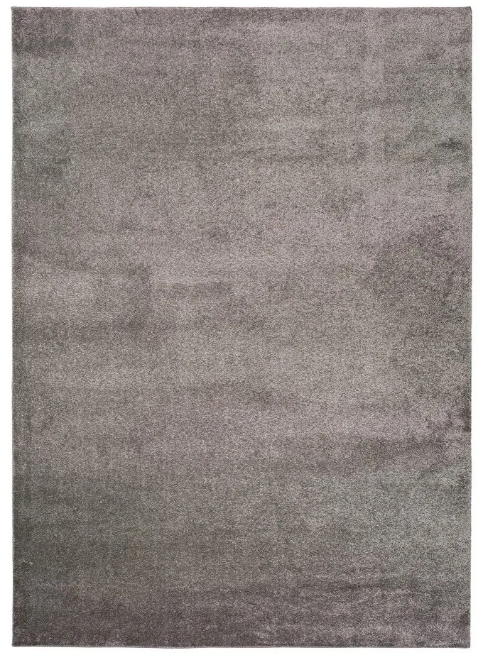 Тъмно сив килим Монтана, 120 x 170 cm - Universal