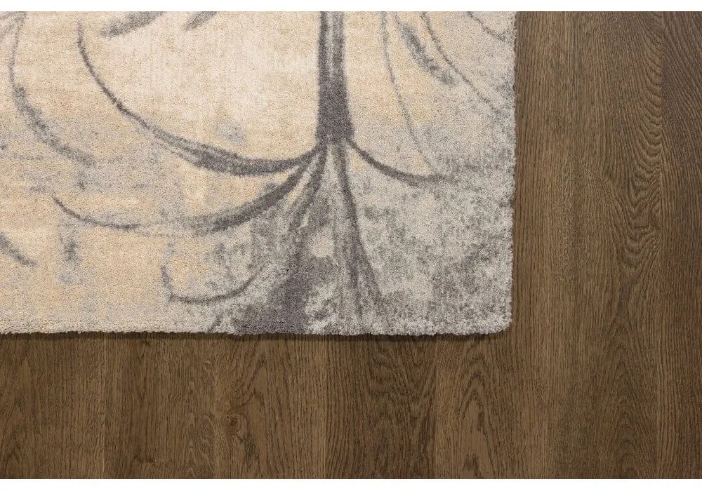 Кремав вълнен килим 300x400 cm Botany – Agnella