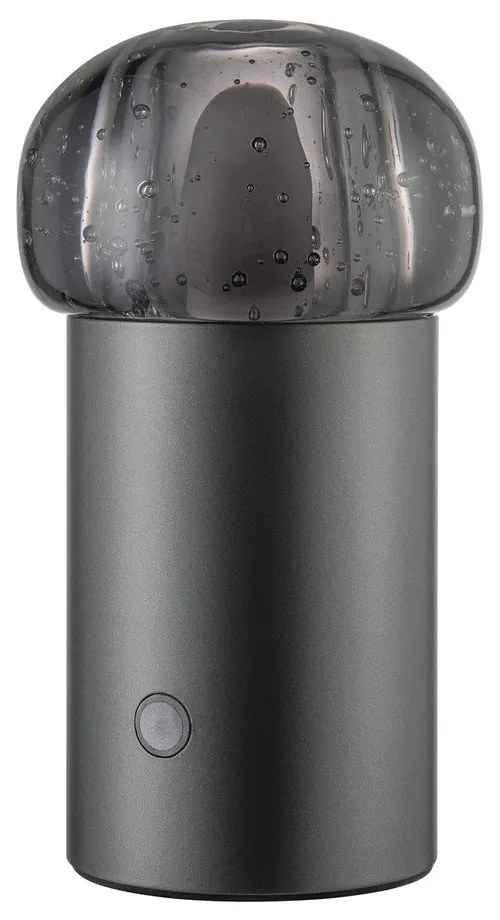 LED преносимо затъмняващо се външно осветително тяло с USB ø 10 cm Iris – Blomus