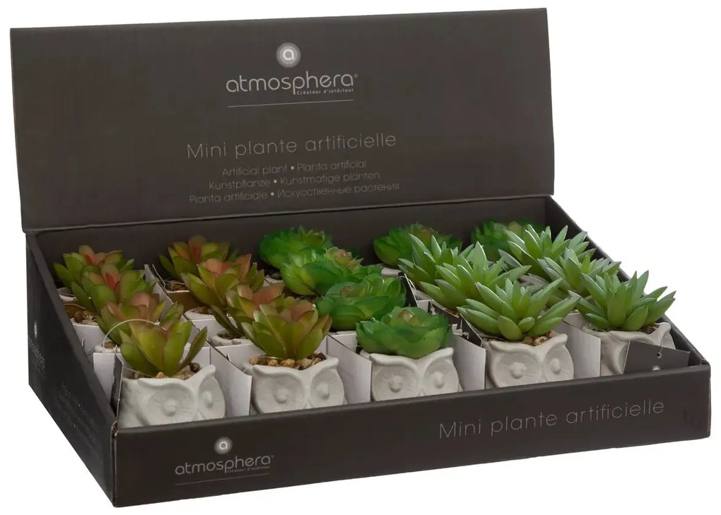 Изкуствено растение atmosphera Succulent, 8 cm, Различни видове