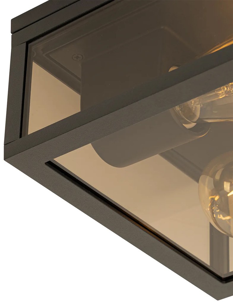 Таванна лампа черна с димно стъкло 2-светлина IP44 - Charlois