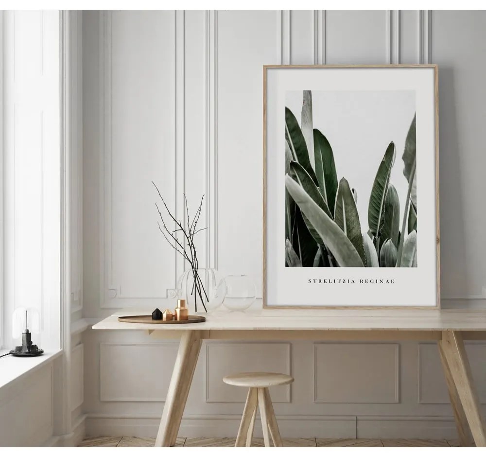 Плакат в рамка 50x70 cm Strelitzia - Styler