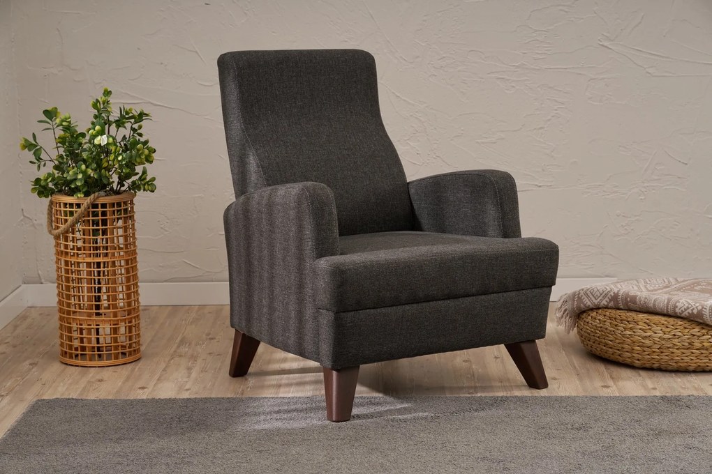 Едноместен диван Aly, цвят Антрацит