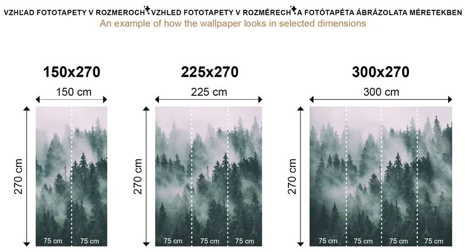 Фототапет – Зимен пейзаж