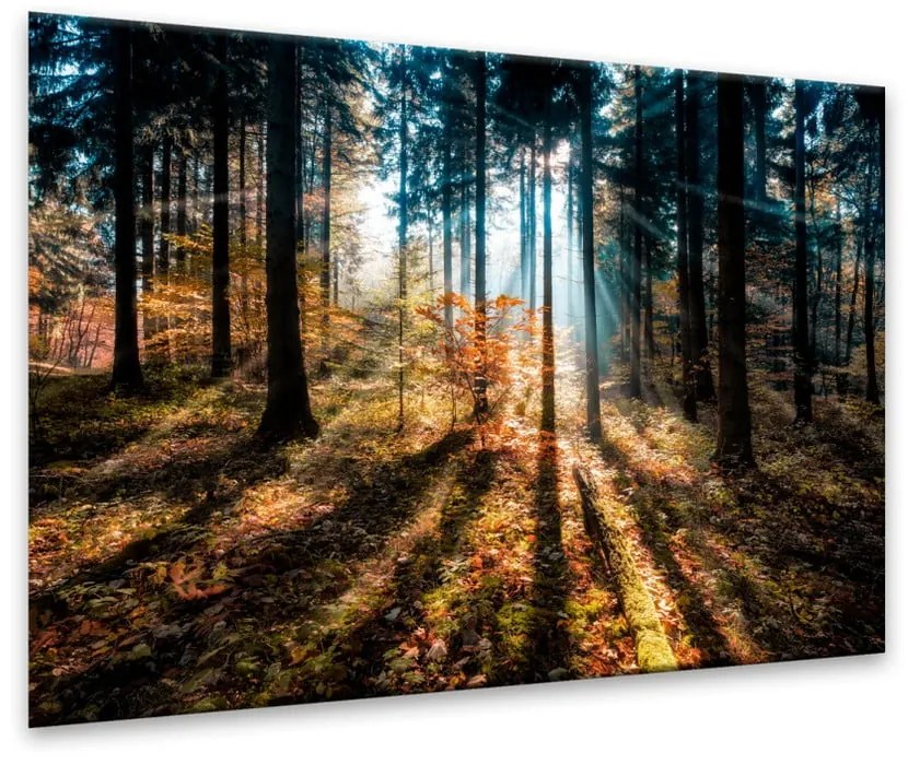 Картина Glasspik , 70 x 100 cm Autumn Sunset - Styler