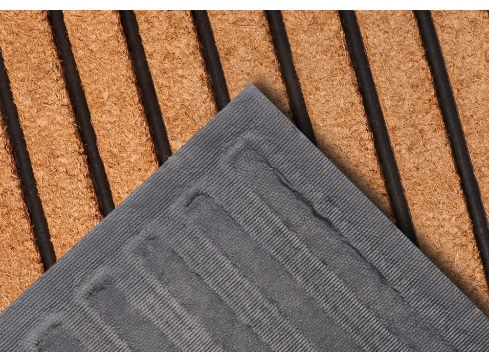 Изтривалка от кокосови влакна 45x75 cm Striped - Hanse Home