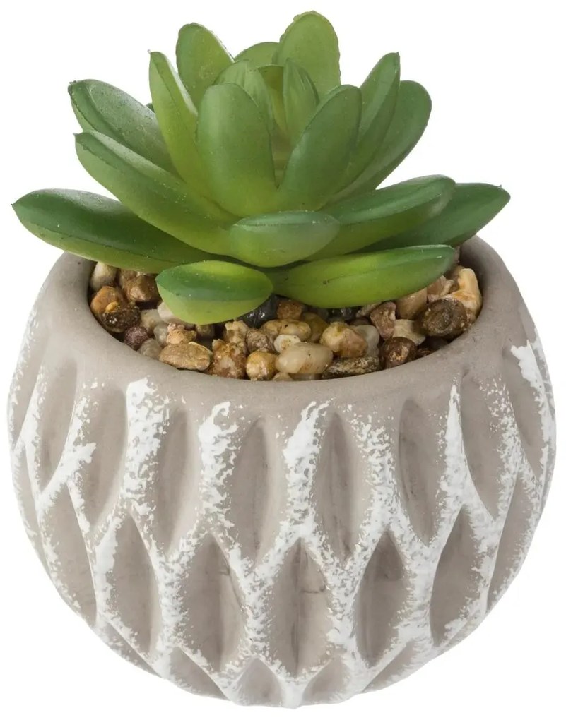 Изкуствено растение atmosphera Succulent, 9 cm, Различни видове