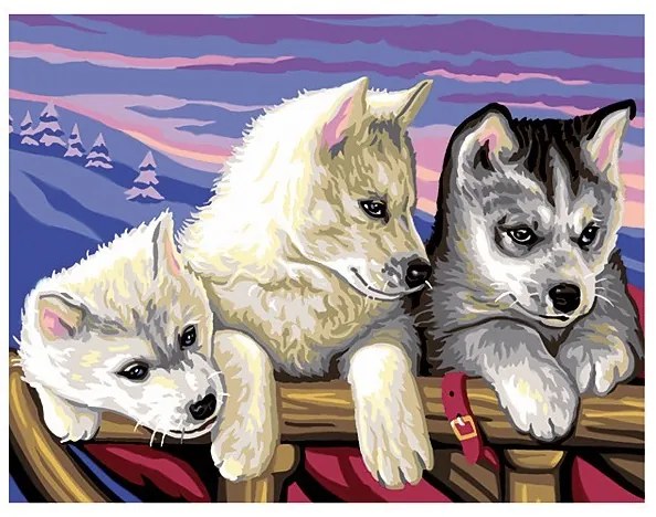 KSG Crafts - Рисуване по номера - голям  размер "Хъски"