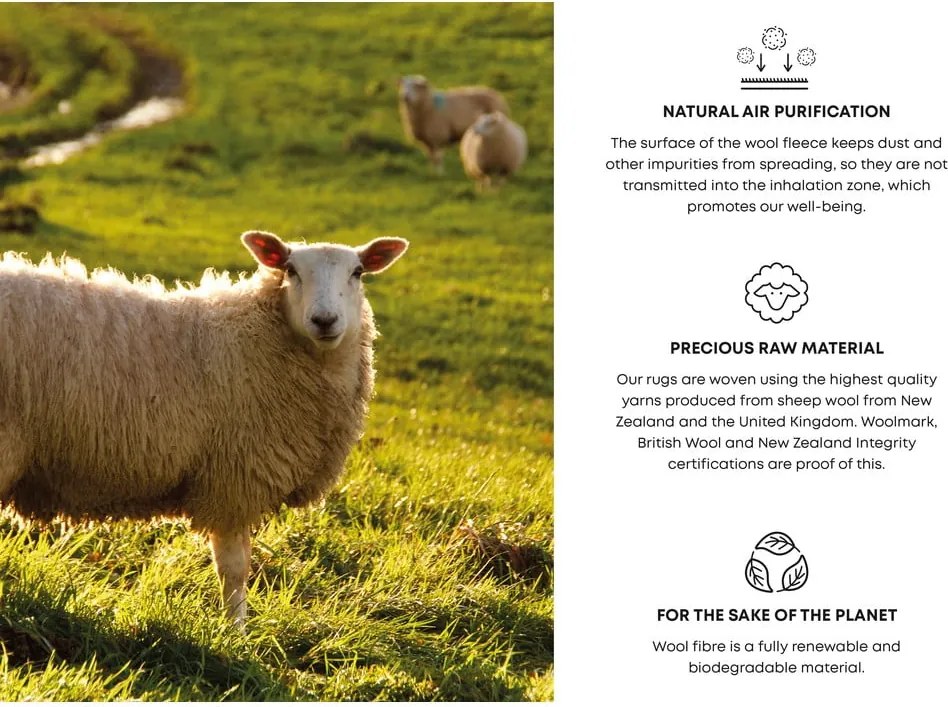 Сив вълнен килим 133x190 cm Tizo - Agnella