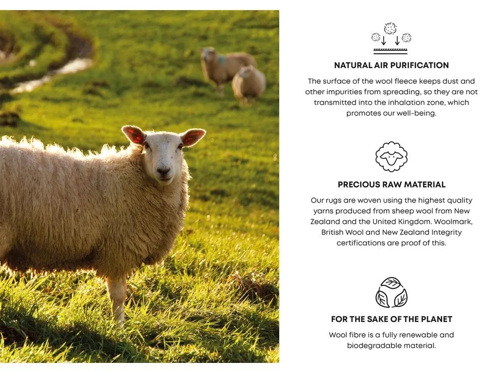 Светлосин вълнен килим 160x240 cm Folds - Agnella