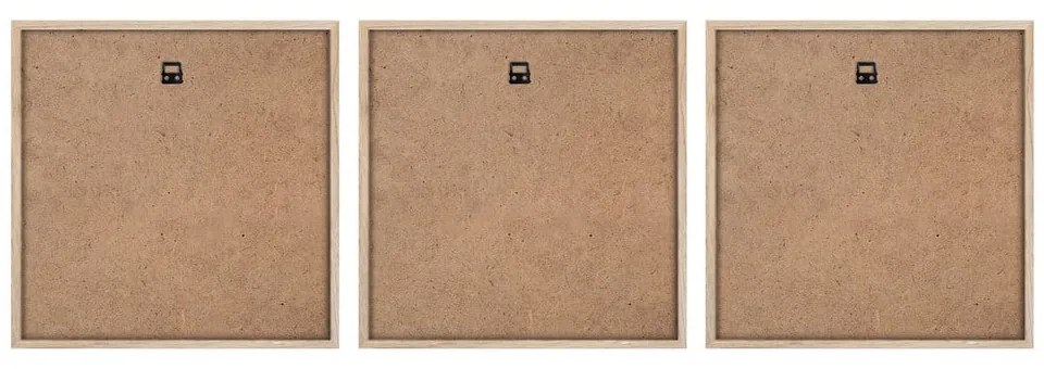 Картини в комплект 3 бр. 30x30 cm Pampas – Styler