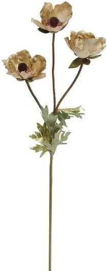 Декоративни цветя Pulsatilla-Кафяво (24 τεμάχια)