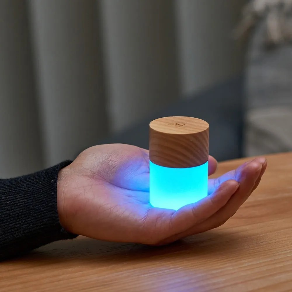 Светлинна декорация с USB в естествен цвят ø 4,5 cm Lemelia – Gingko