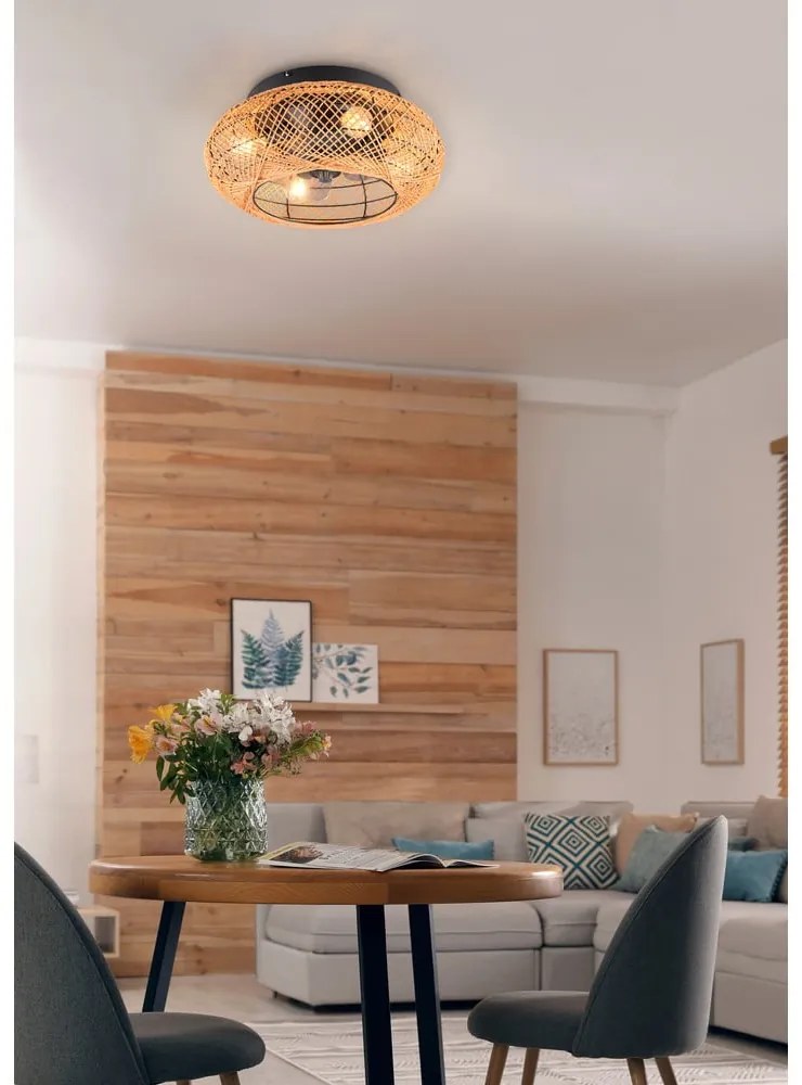 Кафяво осветително тяло за таван с дистанционно управление/с вентилатор Lillesand – Trio