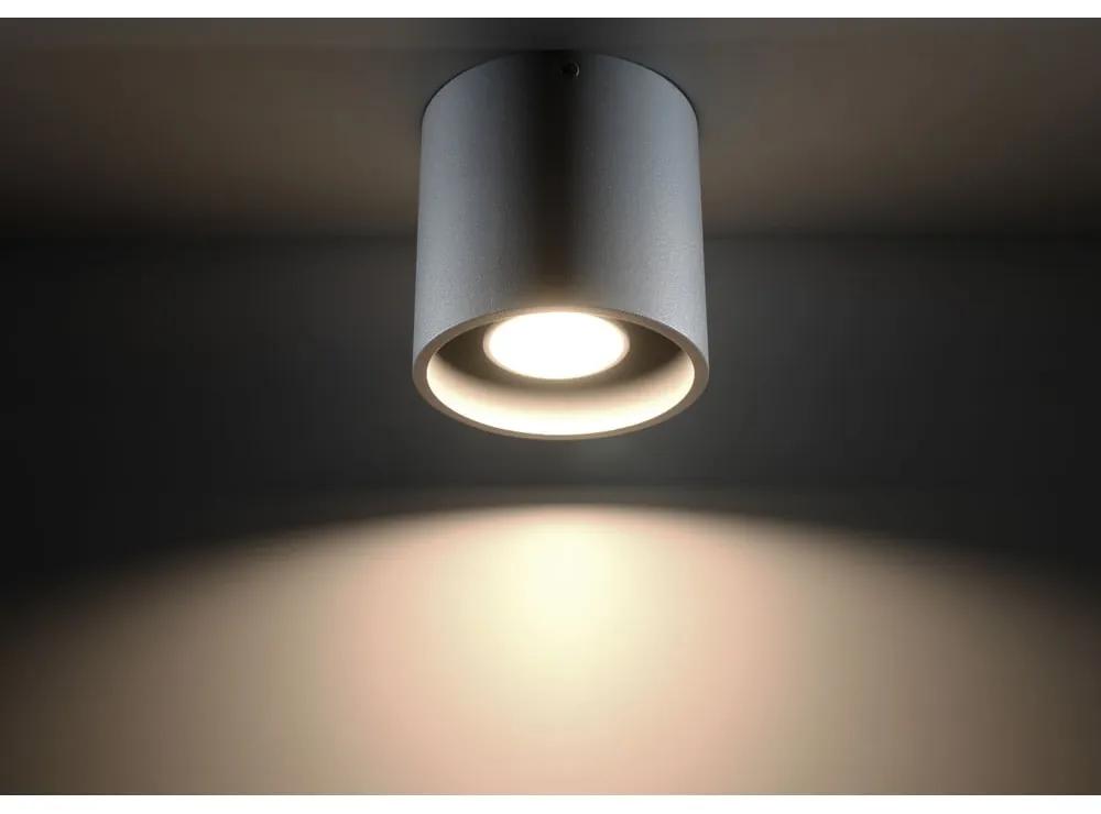 Сиво таванно осветително тяло Roda - Nice Lamps