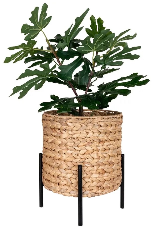 Саксия за цветя от воден зюмбюл ø 24 cm Antas – House Nordic