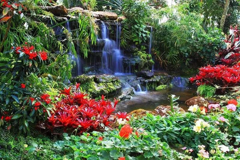 Colourful Garden - C402