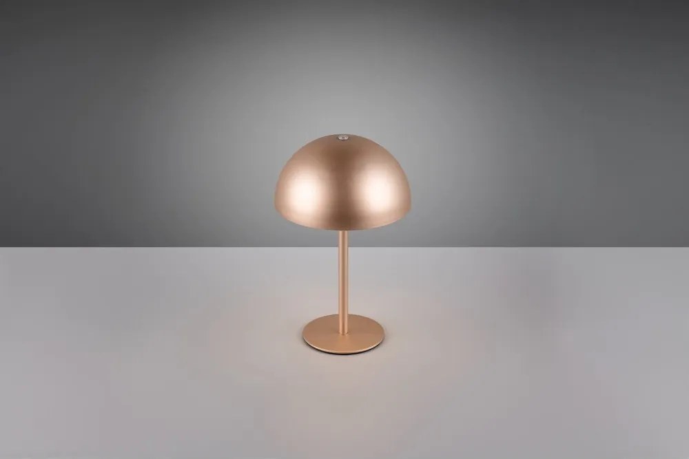LED настолна лампа в бронзов цвят с метален абажур (височина 21 cm) Munoz – Reality