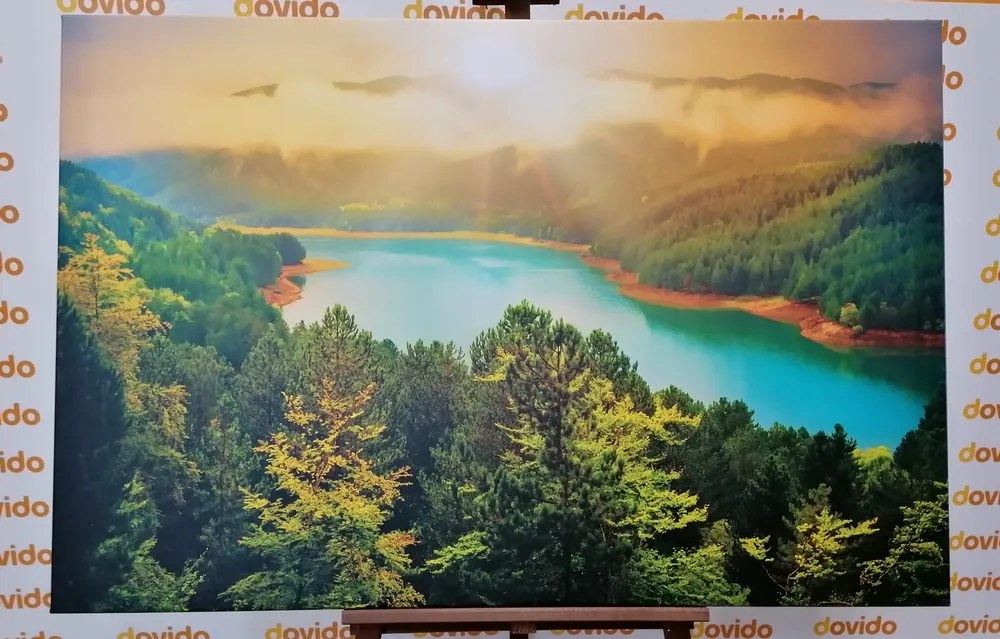 Картина на платно – Река в зелена гора