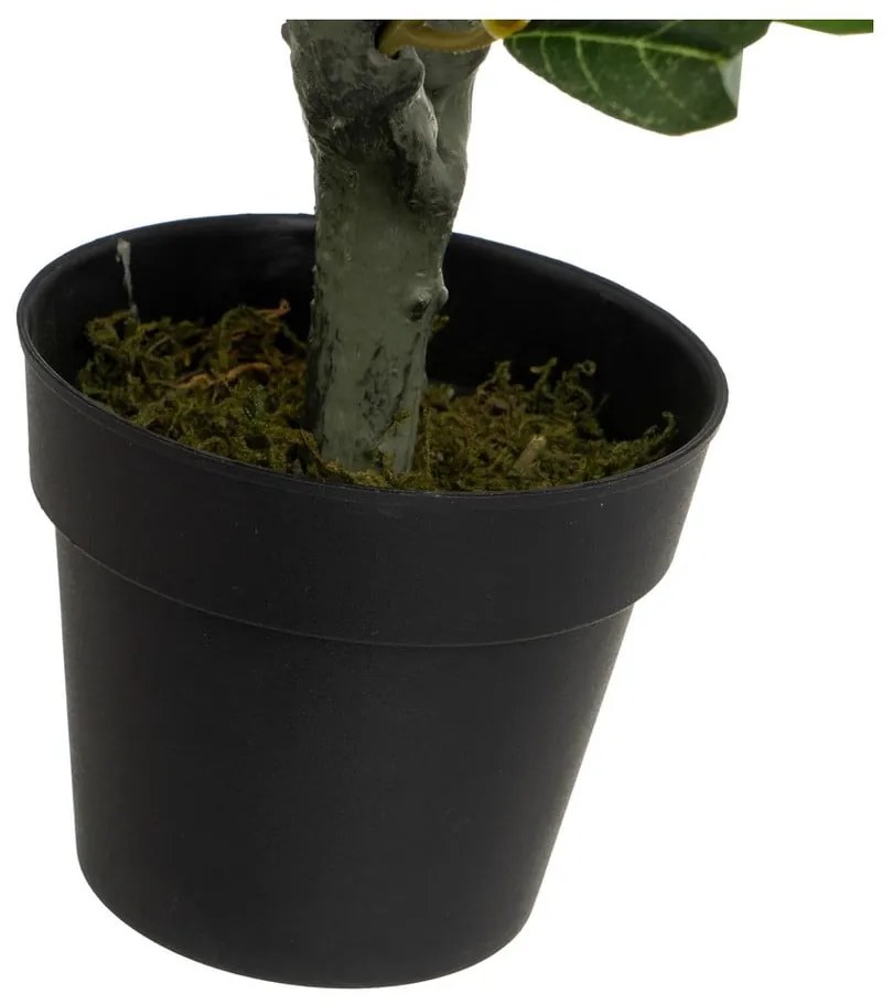 Изкуствено маслиново дърво - Casa Selección