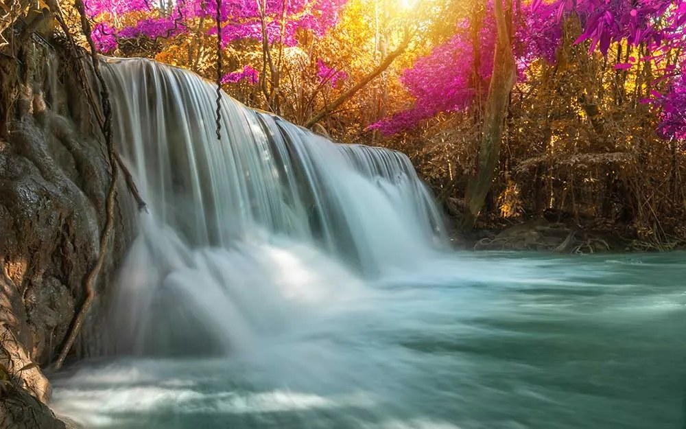 Фототапет Розов водопад