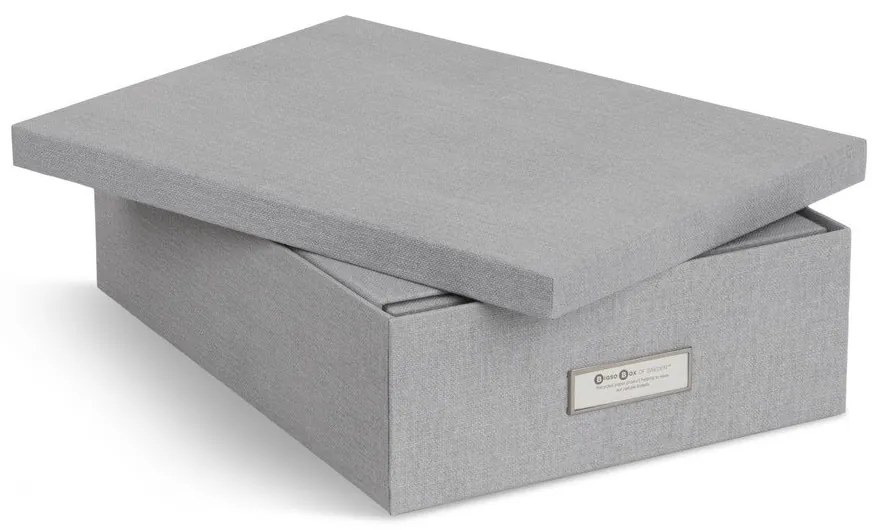 Картонени органайзери за докумнети в комплект от 5 бр. Holger – Bigso Box of Sweden