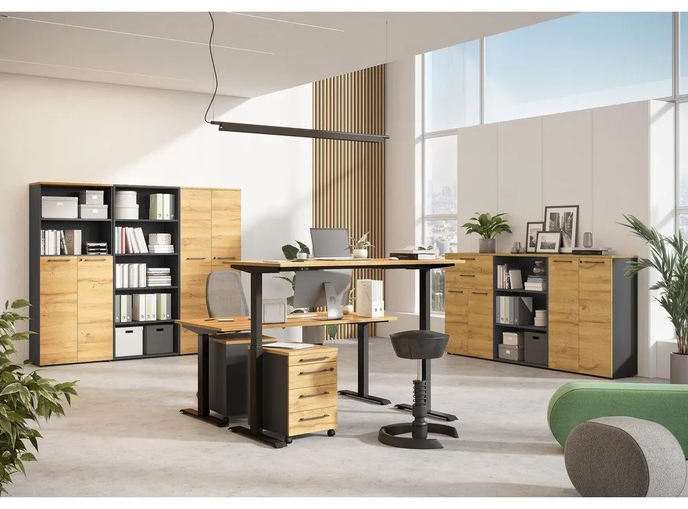 Работна маса с електрическо регулиране на височината с дъбов плот 80x160 cm Agenda – Germania