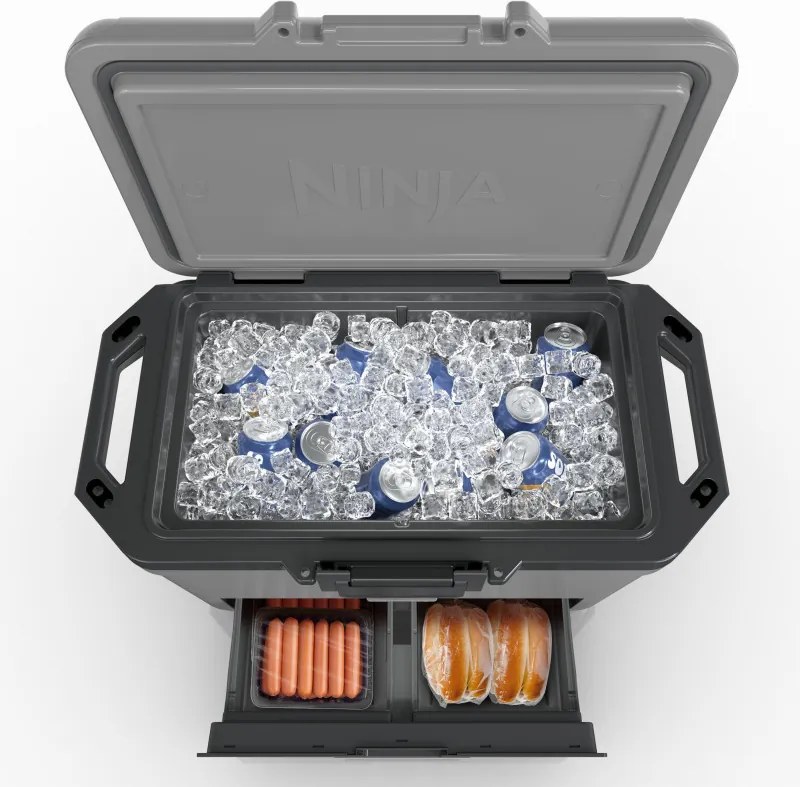 Хладилна кутия Ninja FrostVault FB151EUGY, 47 л, Пасивна, 80 кена, Поддържа лед до 6 дни, Сухо отделение, Сив