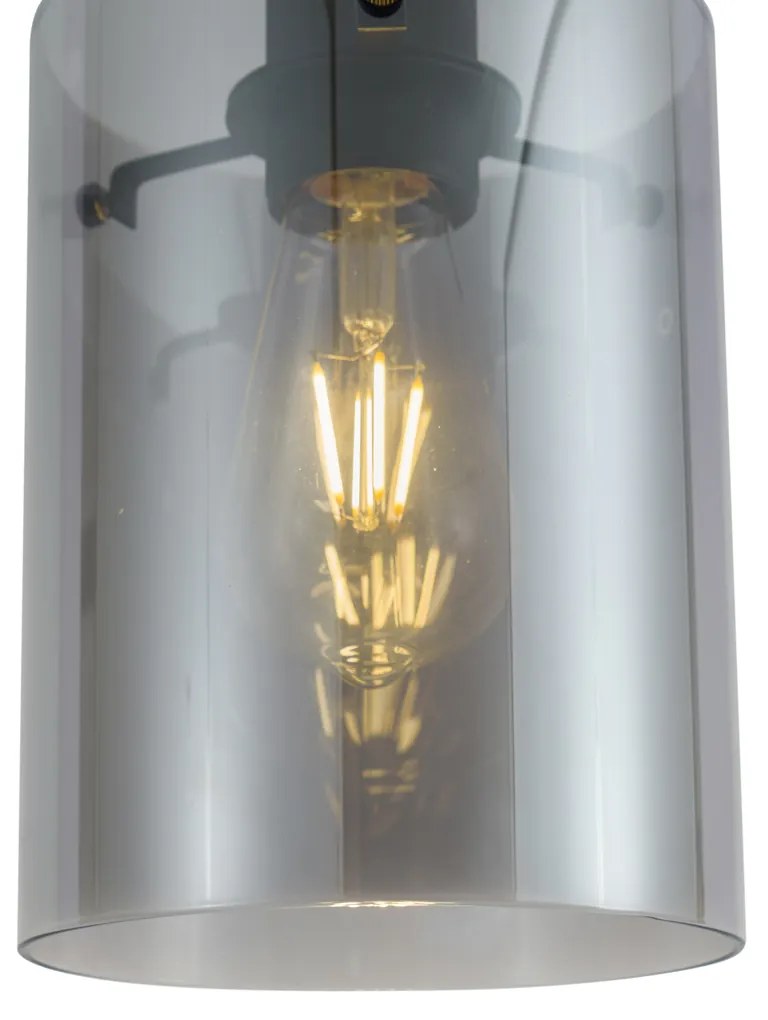 Модерен прожектор черен с димно стъкло за 1-фазна релсова система - Iconic Dome