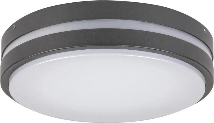 Rabalux 8847 - LED Екстериорна Стенна лампа HAMBURG LED/10W/230V IP44