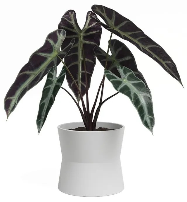 Керамична саксия за цветя ø 20 cm Diana – Artevasi