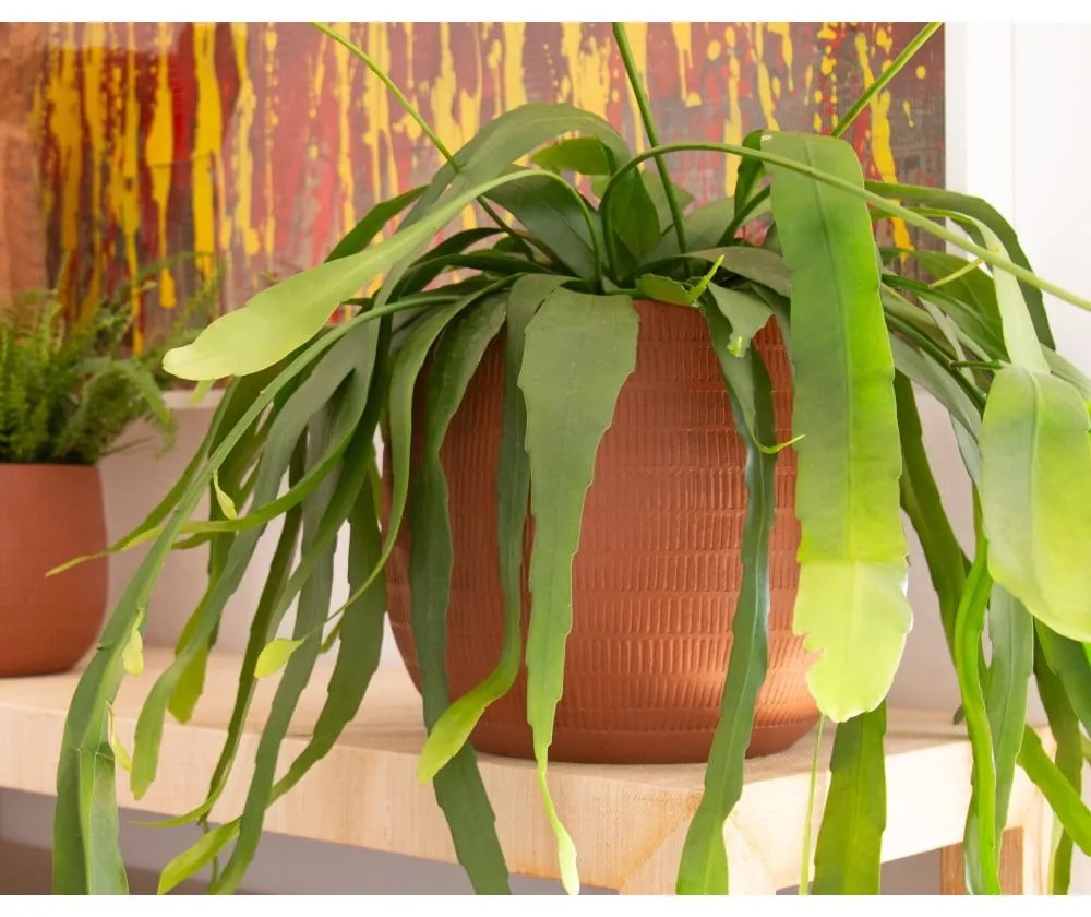 Керамична ръчно изработена саксия за цветя ø 20 cm Aura – Artevasi