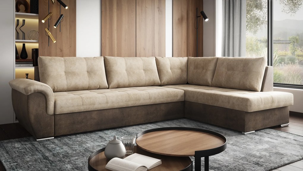 Холов ъгъл Еволюшън