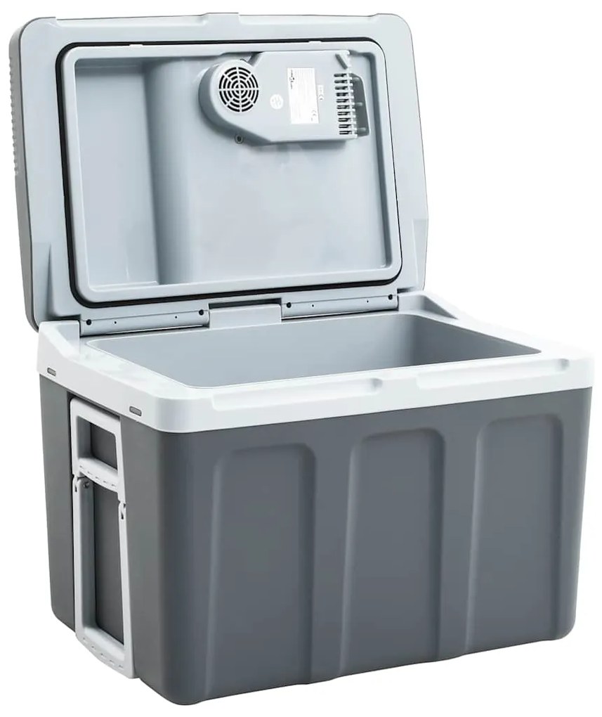 51199 vidaXL Преносима термоелектрическа хладилна кутия 40 л 12 V 230 V E