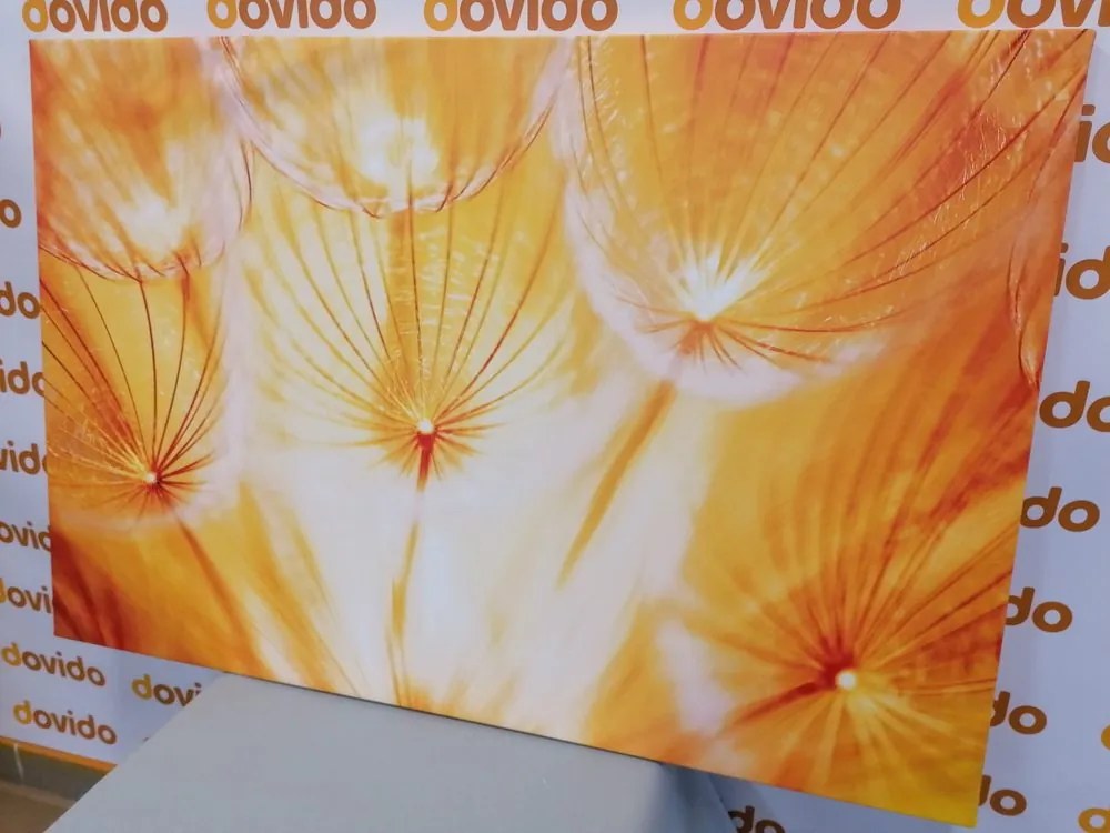 Картина на платно – Глухарче в прекрасно изпълнение